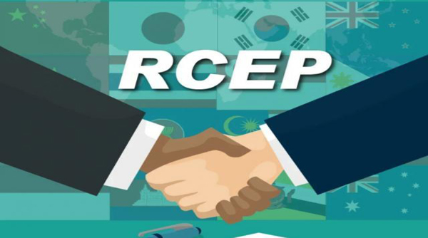 The RCEP will come into force in 2022